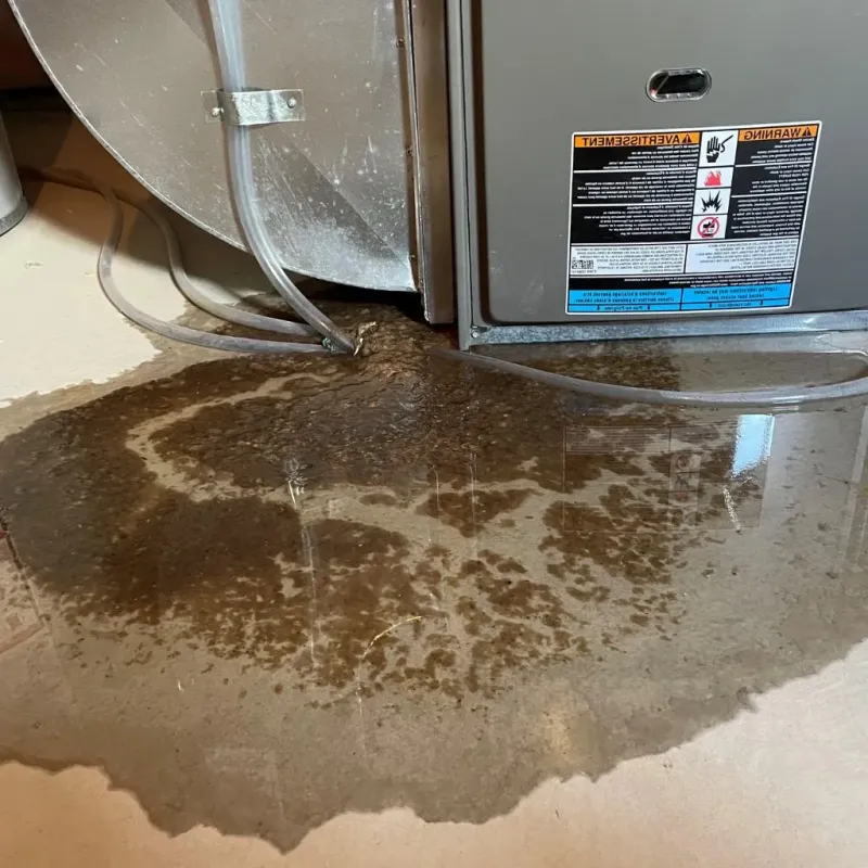 Pipe Burst and Leak Restoration in Belfield, ND